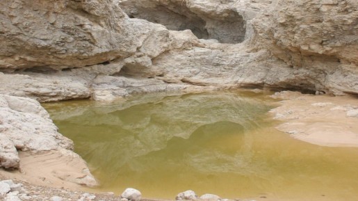 A-natural-pool-along-the-ancient-Qumran-cliffs-515x289-custom