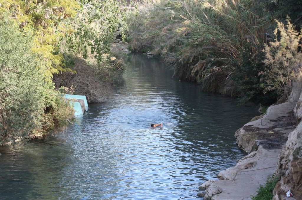 sahne-9950-swimmer