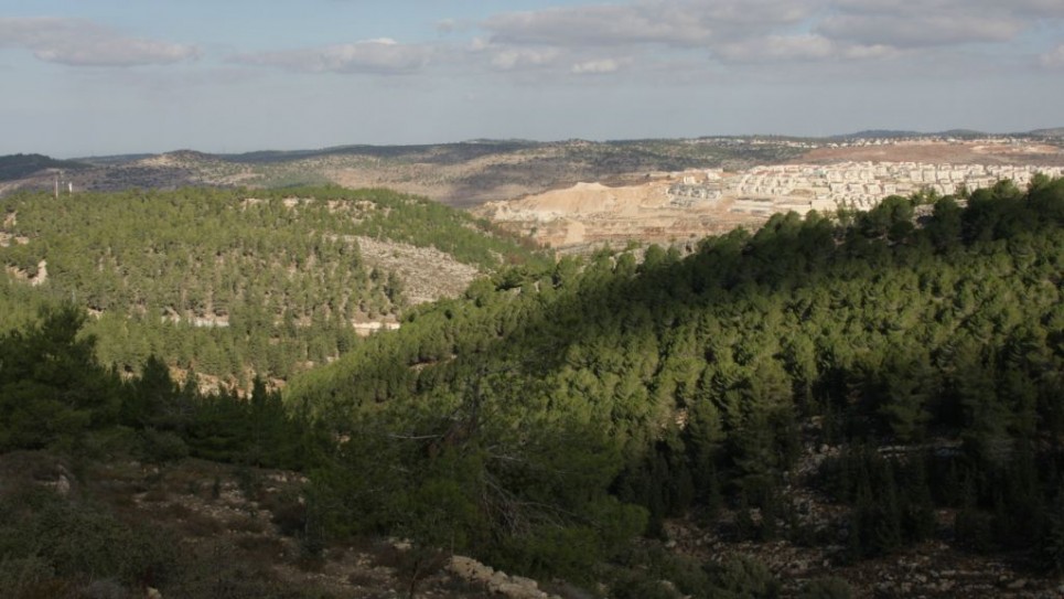 kfar-etzion-1941-view-and-trees-965x543